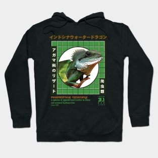 Reptile lover vintage japanese style Hoodie